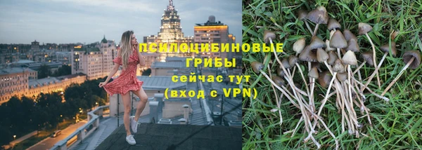 трава Абдулино
