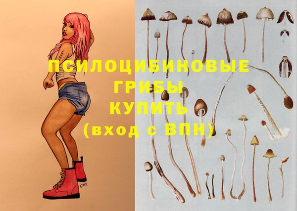 трава Абдулино