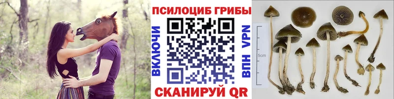 Галлюциногенные грибы мухоморы  Ува 